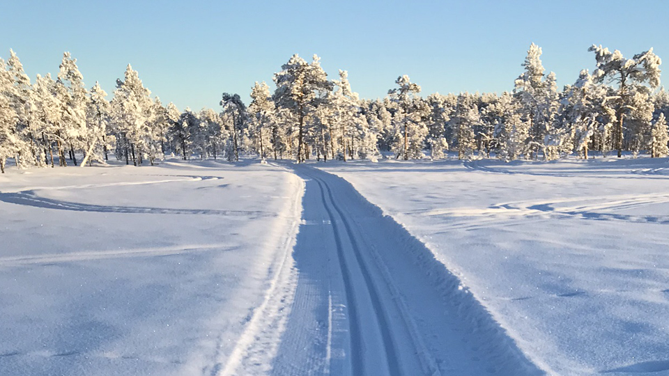 Skidor i skidspår