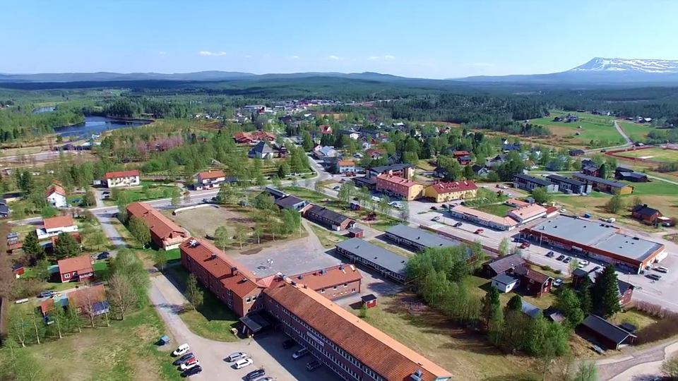 Fåglar flyger över centrala Hede.