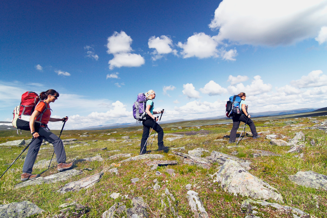 Tre fjällvandrare i fint väder