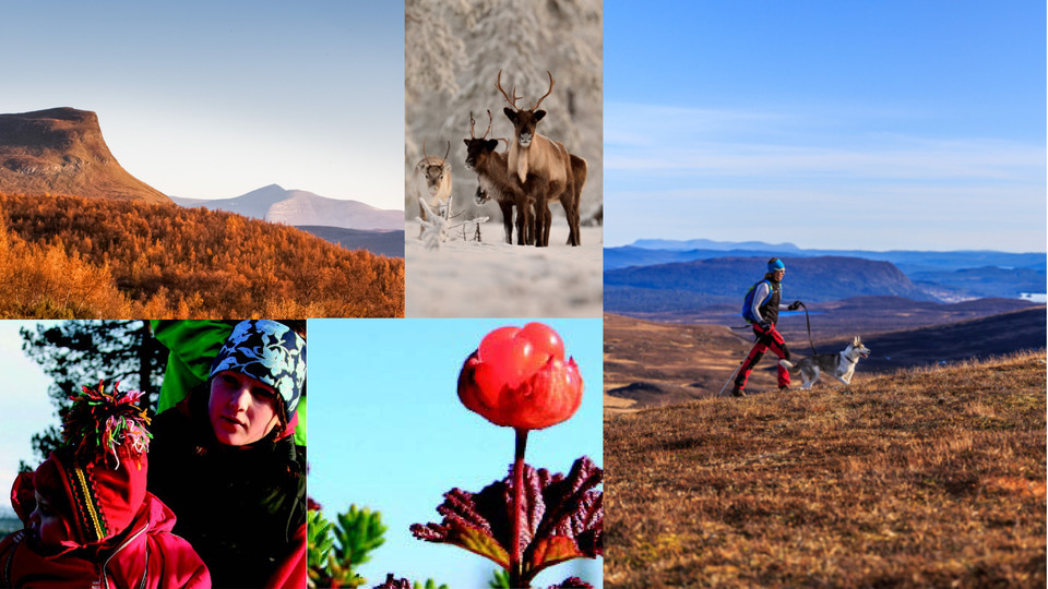 Bilder Härliga Härjedalen