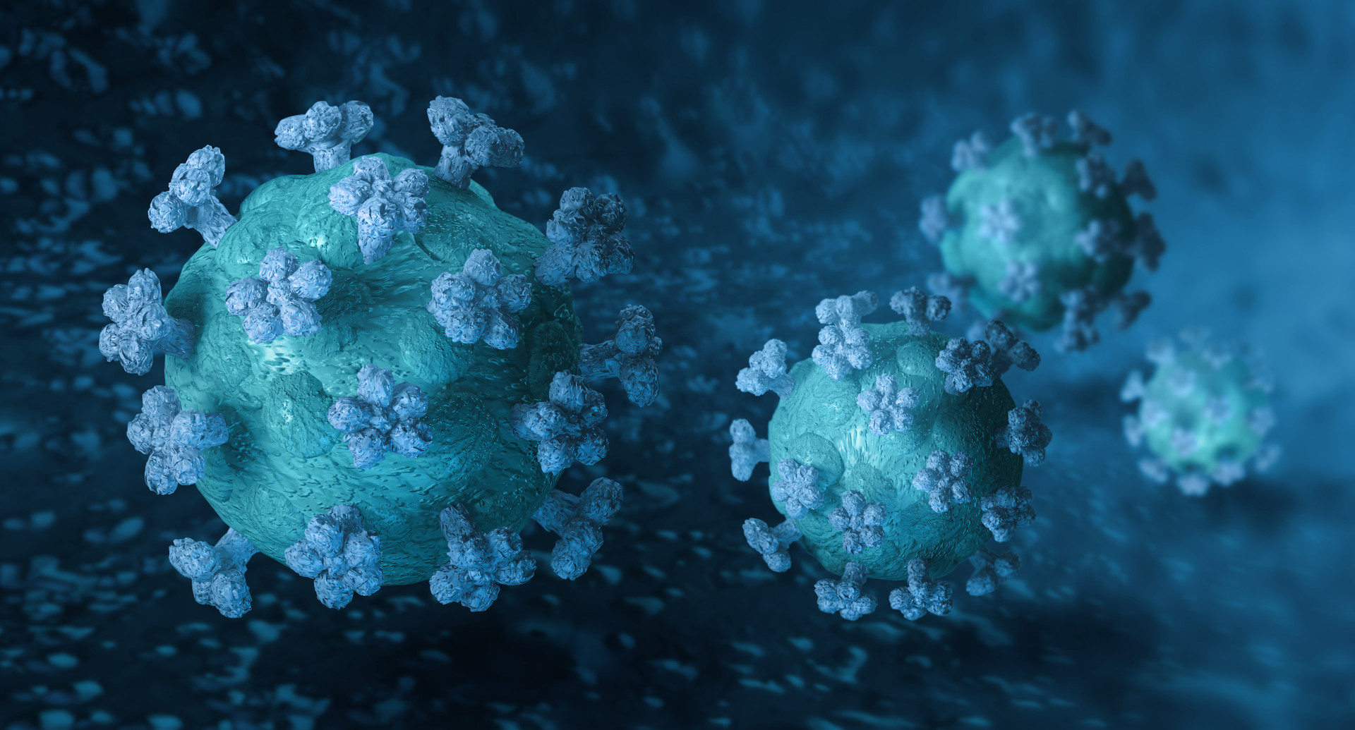 Närbild av  coronavirus.
