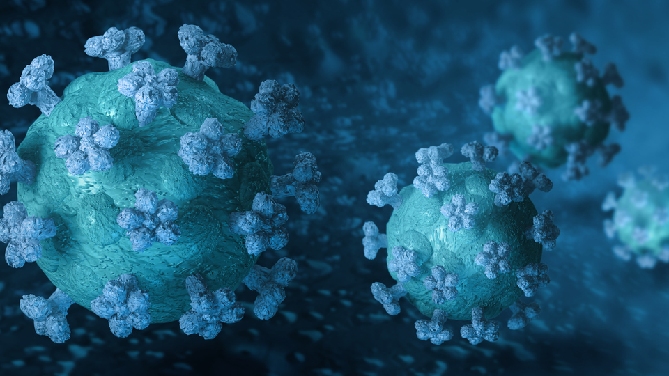 Corona viruses close-up macro 3D rendering inside an organ blood vessel
