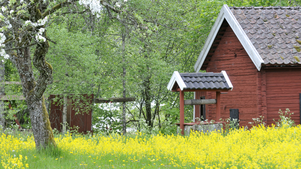 En brunnmed tak och vev på en gård med röda timmerhus.