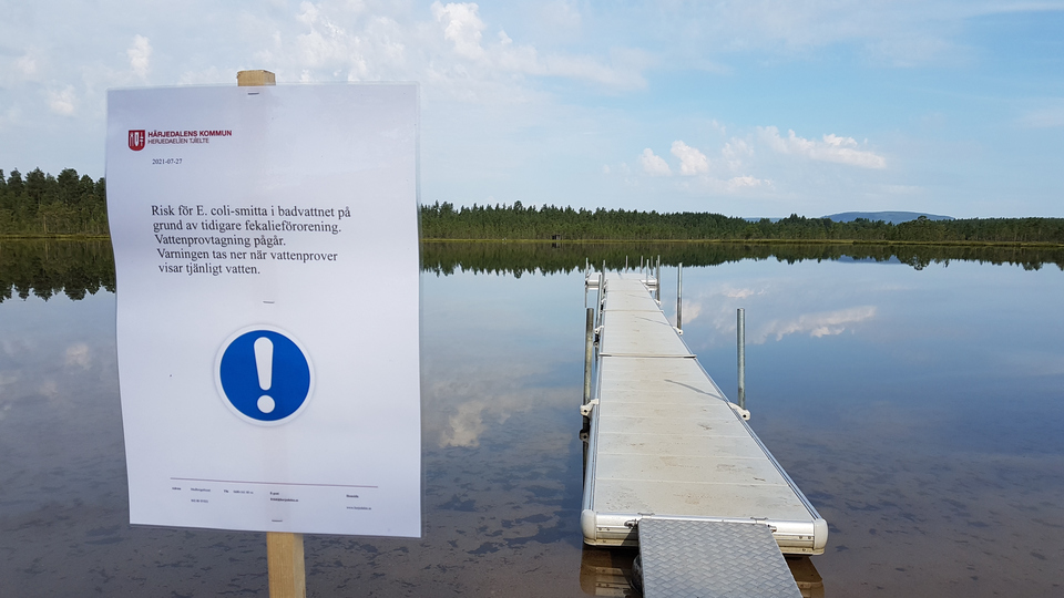 En tjärn med en badbrygga och en skylt om risk för e-kolibakterier i vattnet