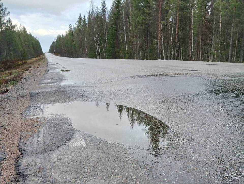 En asfaltväg med en grop som går genom skogen