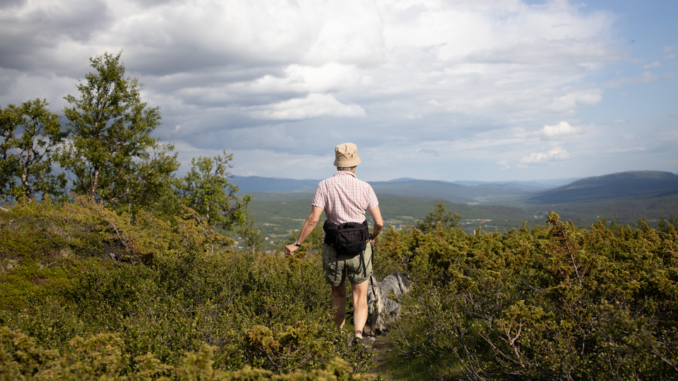 En person i sommarkläder  vandrar i fjällen med en hund.