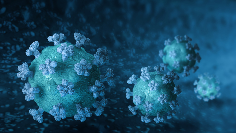 Närbild av  coronavirus.