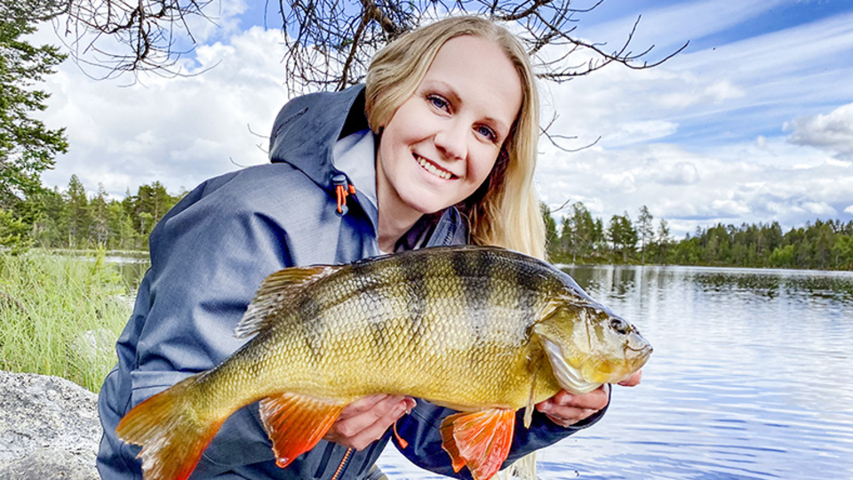 Tjej som håller upp en nyfångad aborre vid en sjö