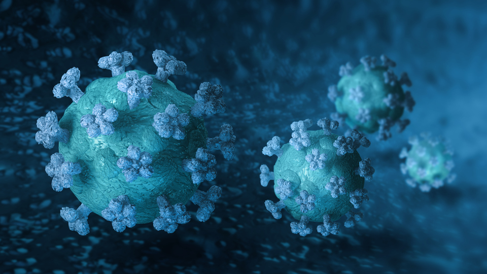 Närbild av  coronavirus.
