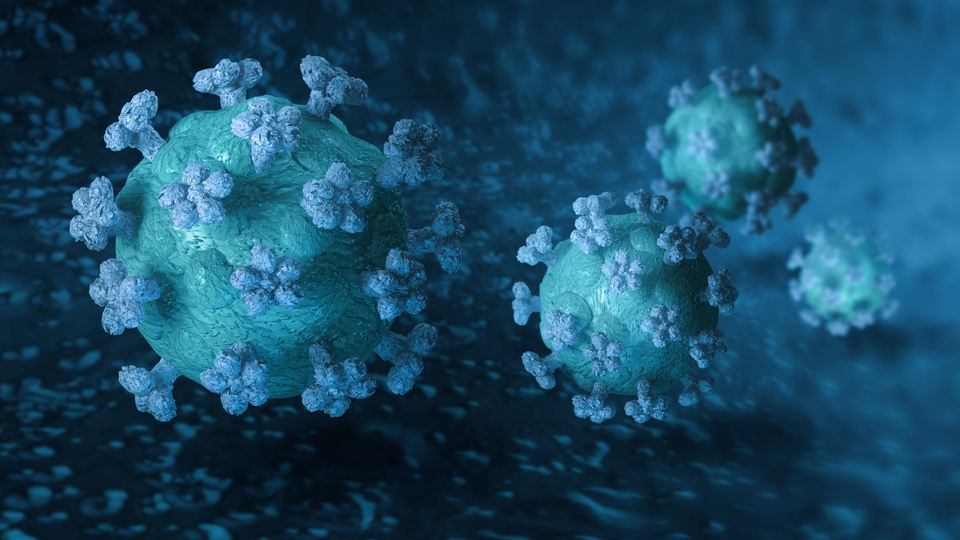 Närbild av  coronavirus.