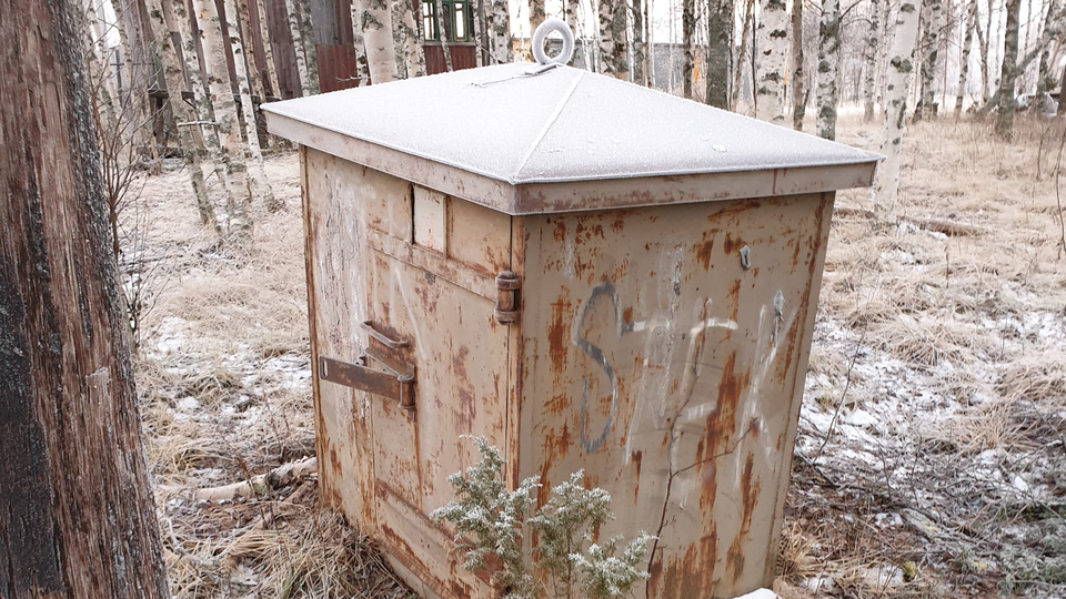 Sprängkista i björkskog.