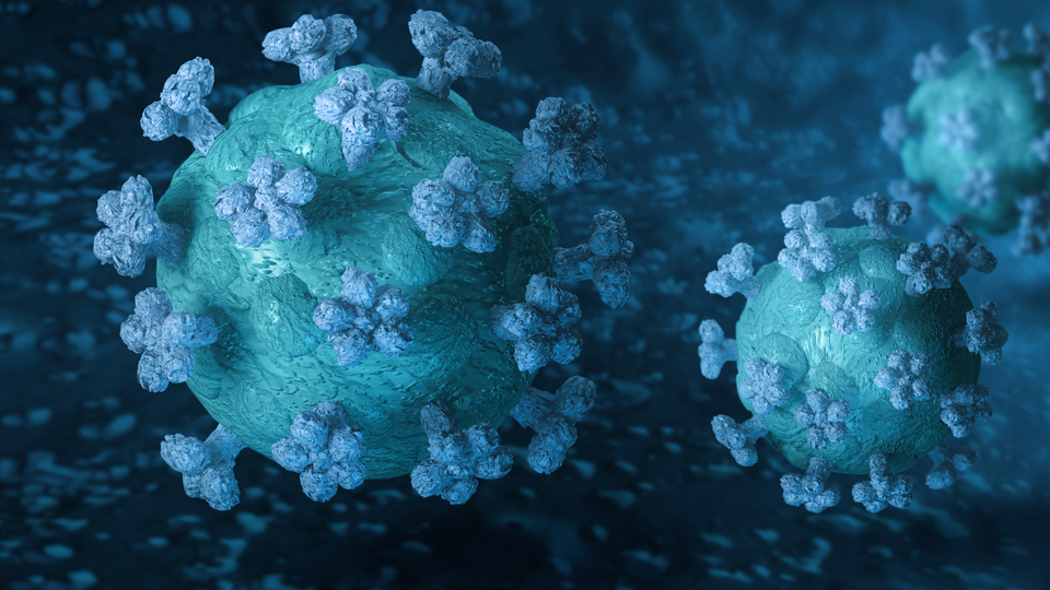 Närbild av  coronavirus.