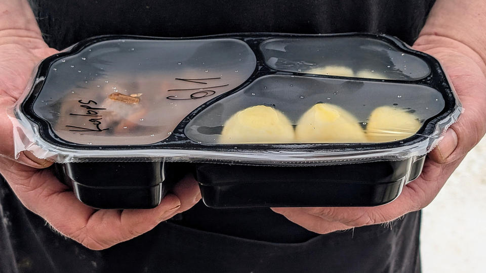 Två händer håller i en matlåda med potatis och kött
