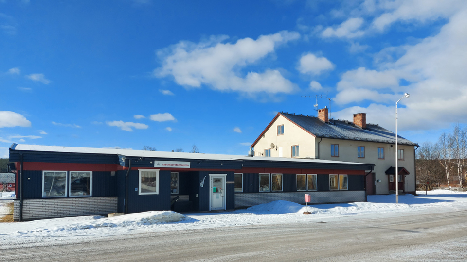 En enplansvilla och en tvåplansvilla i Hede.