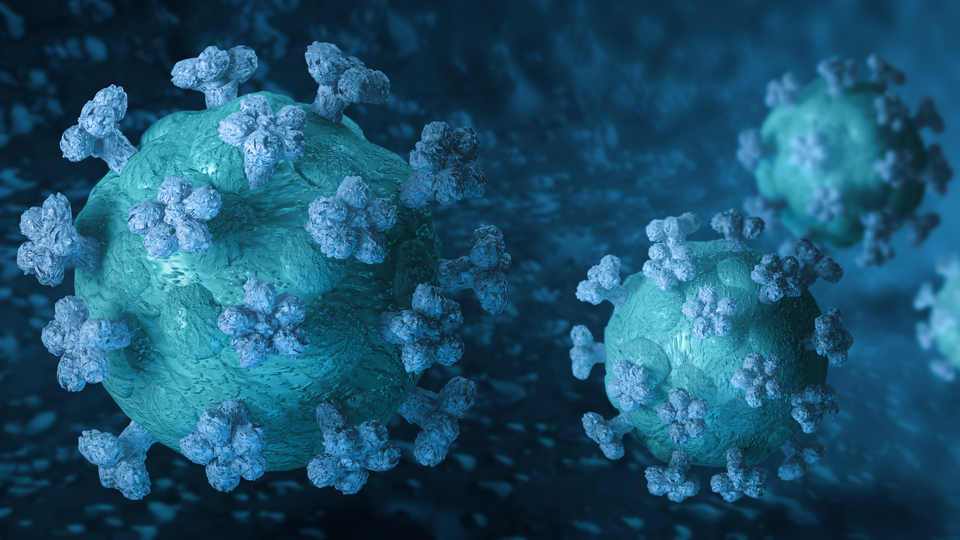 Corona viruses close-up macro 3D rendering inside an organ blood vessel