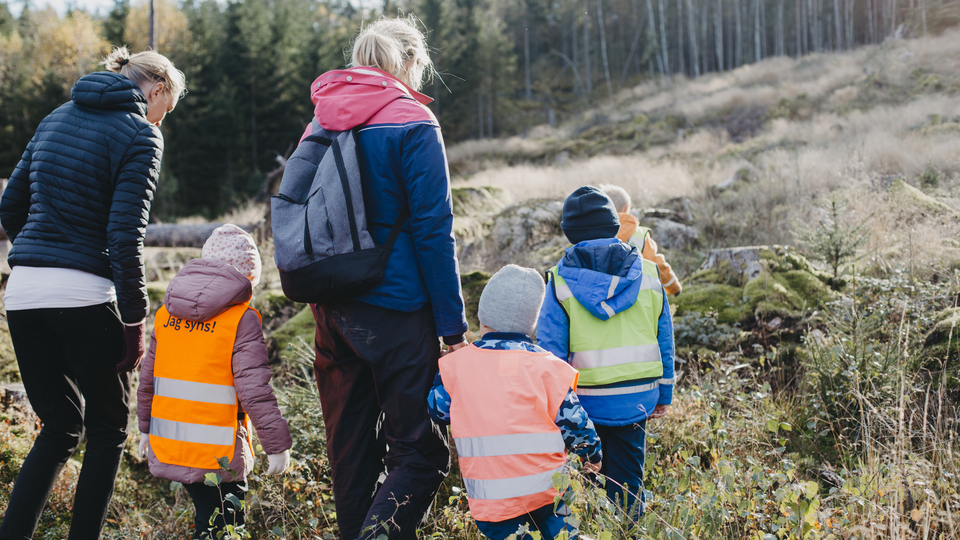 Förskolebarn med lärare i naturen. Foto: Scandinav.