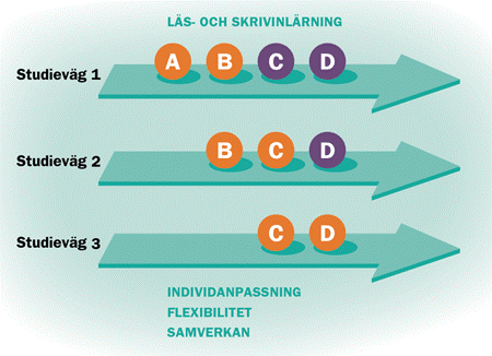 SFI Steg