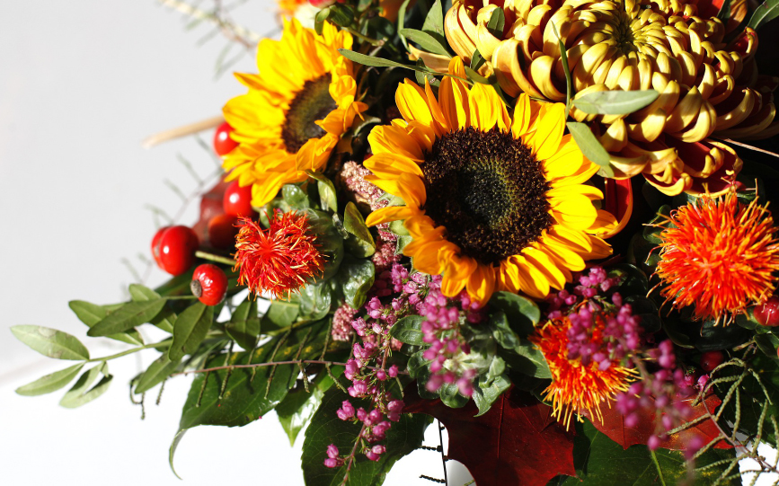 Höstblommor
