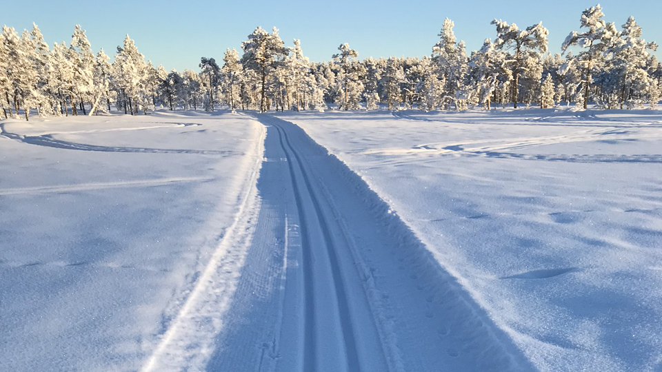 Skidor i skidspår