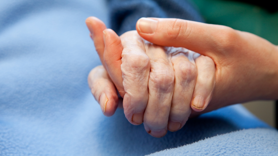 A young hand touches and holds an old wrinkled hand