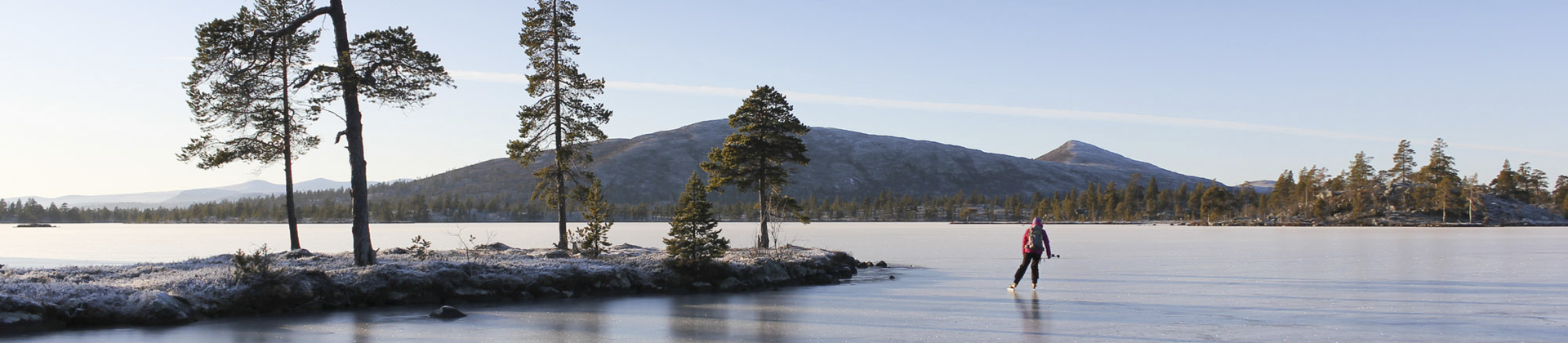 Skridskoåkare på Rogen