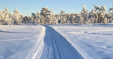 Skidor i skidspår